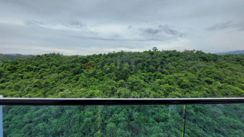 TRASV EL BOSQUE