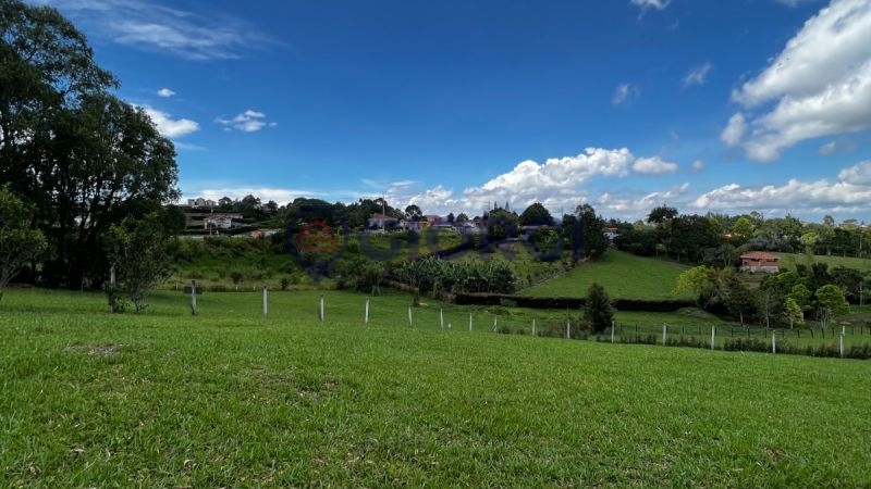 Lote Mesa de los Santos