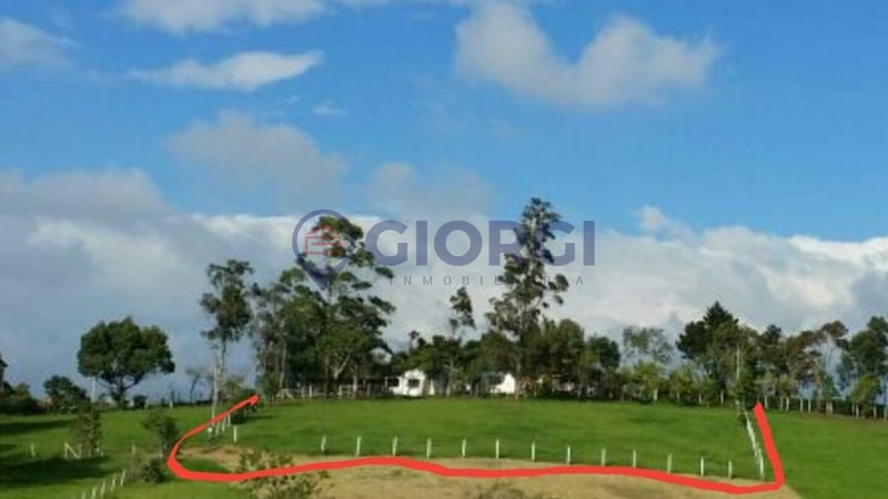 Lote Mesa de los Santos