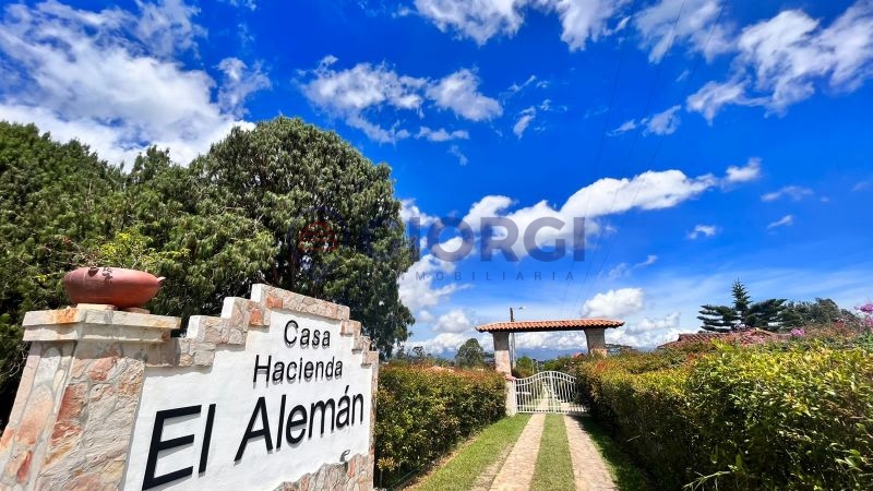 Lote Mesa de los Santos