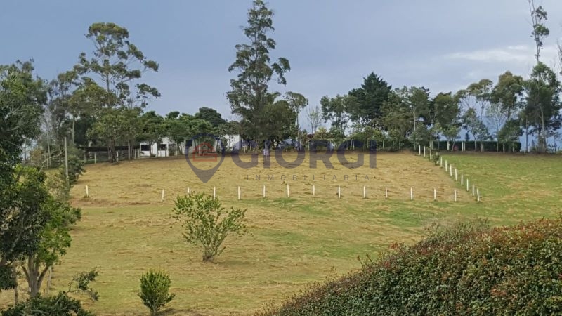 Lote Mesa de los Santos